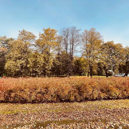 Ktw Park Slaski